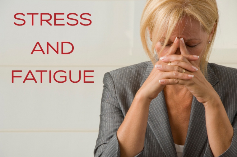 Stress amp Fatigue by Kelly Brown